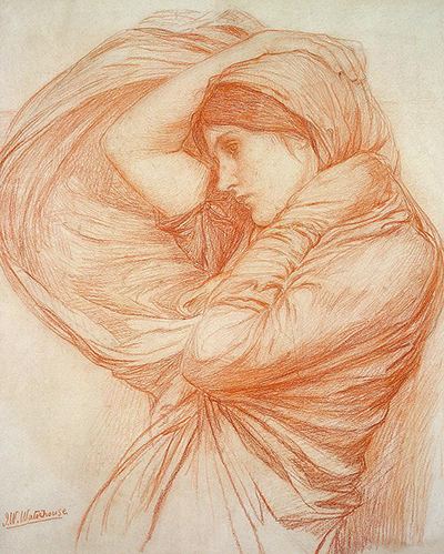 Boreas Study Drawing